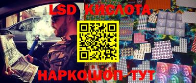 шишки Заволжье