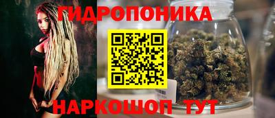 стаф Жуковский
