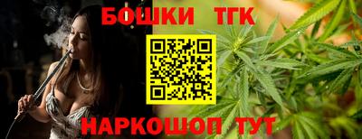 шишки Заволжье