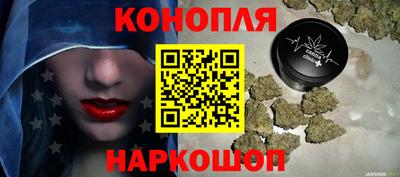 шишки Заволжье