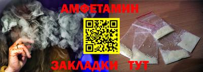 шишки Заволжье