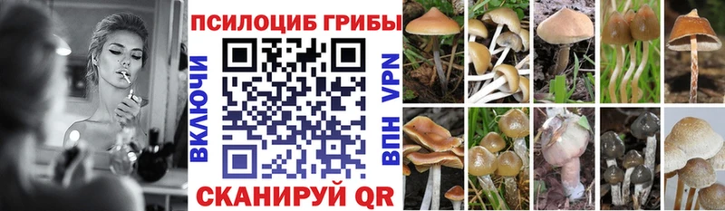 Псилоцибиновые грибы Psilocybe  Кунгур 