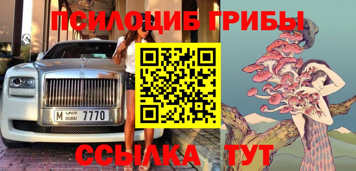 Псилоцибиновые грибы мицелий Кунгур