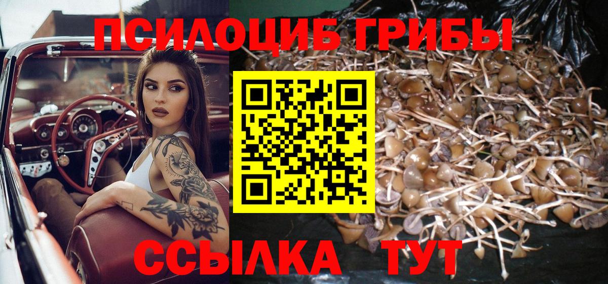Псилоцибиновые грибы MAGIC MUSHROOMS  Вход с VPN  Кунгур 